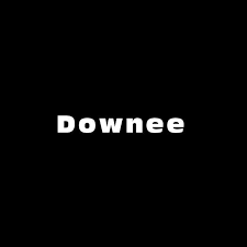 downee logo